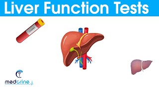 LIVER FUNCTION TESTS LFTsEXPLAINED [upl. by Lipsey]