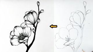 how to pencil drawing  flowers pencil drawing  step by step draw [upl. by Nnail580]