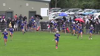 St Finbarrs Camogie Final 2024 [upl. by Hemetaf]