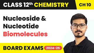 Nucleoside amp Nucleotide  Biomolecules  Class 12 Chemistry Chapter 10  CBSE 202425 [upl. by Eveam854]