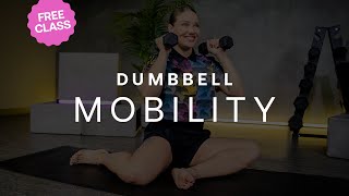 20 Minute Dumbbell Mobility Flow [upl. by Mosa]