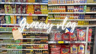 Grocery vlog  Grocery shopping in the Philippines ❤️  mjvlogs [upl. by Kresic]