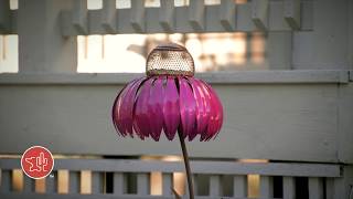 Coneflower Bird Feeders [upl. by Sices190]