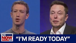 quotIm ready todayquot Musk vs Zuckerberg cage match fight could happen this month  LiveNOW from FOX [upl. by Emelyne]