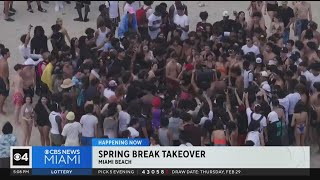 Spring Breakers arrive in South Florida [upl. by Vogele410]