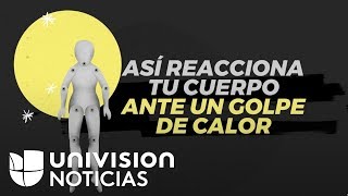 ¿Cómo reacciona tu cuerpo a un golpe de calor [upl. by Arzed679]