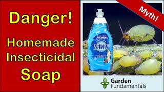 Homemade Insecticidal Soap Harms Your Plants 😢👿😯 Here is a Better Alternative [upl. by Alig]