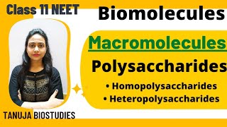 Biomolecules Macromolecules  Polysaccharides  Cellulose  Starch  Chitin Class 11 BiologyNEET [upl. by Dweck]