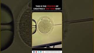 IVF A Journey to Parenthood Through Advanced Fertility Solutions [upl. by Dahlstrom]