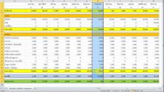 ทำ Monthly Cashflow Projection แบบง่ายๆ [upl. by Aisenat]