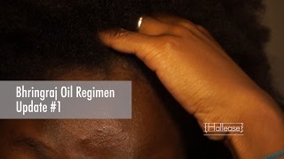 Bhringraj Oil Regimen  Update 1 4b4c [upl. by Butcher]