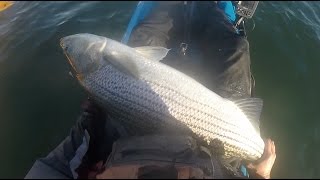 Striped Bass Fishing the Jersey Fleets with Seamoney Fishing [upl. by Judenberg]