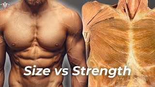 Strength vs Hypertrophy The Science of Building Muscle [upl. by Atinreb]