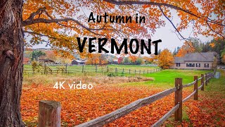 Fall foliage in Vermont fallfoliage vermont autumn usa travelvlog [upl. by Yaj]