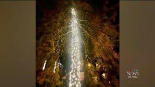 An annual tree lighting in Orillia Ontario that fell flat goes viral [upl. by Krid]