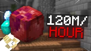 This Makes Incredible Money Hypixel Skyblock [upl. by Noit]