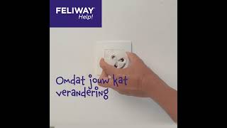 FELIWAY Help  Veranderingen in huis  Square [upl. by Anelahs219]