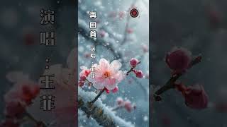 王菲《再回首》 怀旧金曲 音乐分享 经典老歌 流行音樂 [upl. by Samid853]