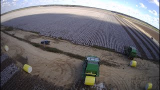 TRIPP FARMS 2024 COTTON PICKING amp GINNING [upl. by Aihsekat]