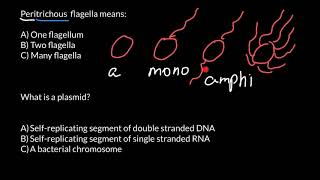 How to Memorize Names of the Different Types of Bacteria [upl. by Hephzipa229]