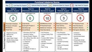 About The GI Effects Comprehensive Stool Test [upl. by Sowell724]