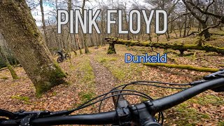 Pink floyd  Dunkeld MTB  Birnam Hill  Scotland  032023 [upl. by Einned]