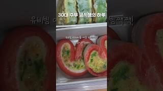 30대 주부 공시생 하루✨️✏️📚 주부공시생 스터디윗미 공시생 공무원 도시락 vlog [upl. by Lemmuela]