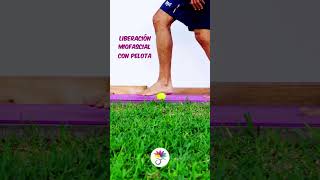 Ejercicio terapéutico para fascitis plantar [upl. by Casaleggio556]