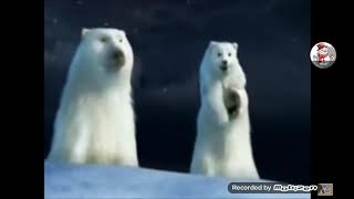 25 days of Christmas commercial 2 cocacola polar bears Christmas party 2005 [upl. by Aruat]