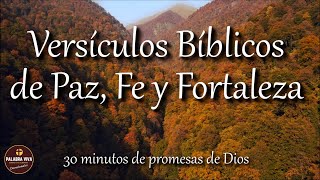 Versículos Bíblicos que te llenarán de Paz Fe y Fortaleza  Biblia hablada  Bible audio [upl. by Seiter876]