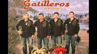 Los Gatilleros De Michoacan quotFrontera De Texasquot [upl. by Angele]