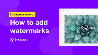 How to add watermarks  Stockpress how to series [upl. by Tiphani674]