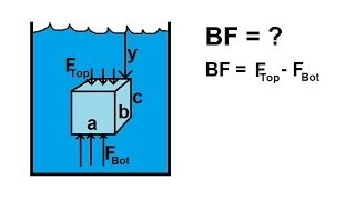 Physics 33  Fluid Statics 8 of 10 Buoyancy Force [upl. by Ardnauqal290]