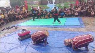 seni bela diri Pencak Silat [upl. by Ragouzis]