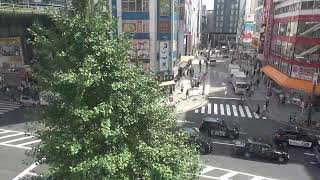 オノデンch【秋葉原ライブカメラ Akihabara live camera】 [upl. by Nael]