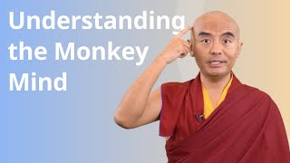 Understanding the Monkey Mind with Yongey Mingyur Rinpoche [upl. by Neltiak]