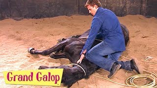 Grand Galop  Épisodes 21 à 24  Compilation  Grand Galop Saison 2 [upl. by Miharbi]