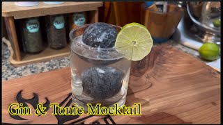 How to Make a Gin and Tonic  Nonalcoholic Drinks  Mocktail Dreams [upl. by Shanahan849]