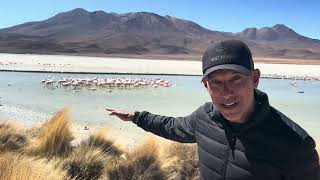 High Desert of Bolivia—Flamingos [upl. by Leahcimnaes81]