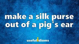 Useful Idioms 225 Make a silk purse out of a pigs ear [upl. by Gnud55]