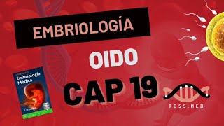 CAP 19OÍDOEMBRIOLOGÍA MÉDICA DE LANGMANRESUMENPODCASTAUDIO [upl. by Ocisnarf746]