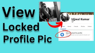 How to View Locked Profile Pictures on Facebook on PC 2024 [upl. by Gnep]