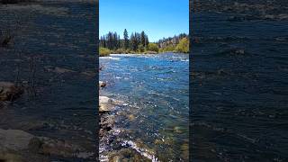 CONFLUENCE Latah Creek Joins The Spokane River At Peoples Park In Spokane Washington [upl. by Aitetel505]