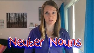 Norwegian Grammar Neuter Nouns [upl. by Asilak]