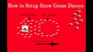 HOW TO Setup Snow Goose Decoys In 5 Simple Steps [upl. by Arob242]