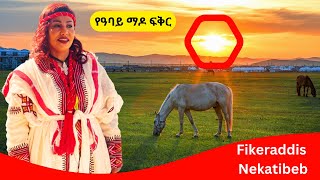 ደሞ በዚህ ሰሞን  Fikeraddis Nekatibeb  የዓባይ ማዶ ፍቅር [upl. by Devina152]