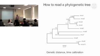 1 Phylogenetic analysis of pathogenslecture  part1 [upl. by Aicnilav]