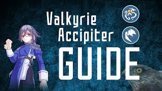 Valkyrie Accipiter Guide Updated  HONKAI IMPACT 3 SEA [upl. by Dupre61]