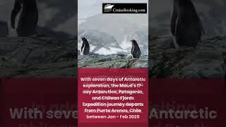 Hurtigruten Expeditions Launches New Antarctica Itineraries CruiseBookingcom NewsShorts [upl. by Ahsiet647]