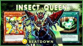 Metamorphosed Insect Queen Deck 2019  YuGiOh Duel Links [upl. by Faunie]